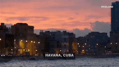 havana ginger gif|Havana Ginger Porn GIFs .